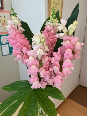 希彩はり灸院の花